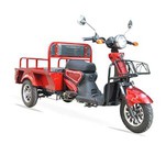Motorrad-Elektrotrikes für Erwachsene